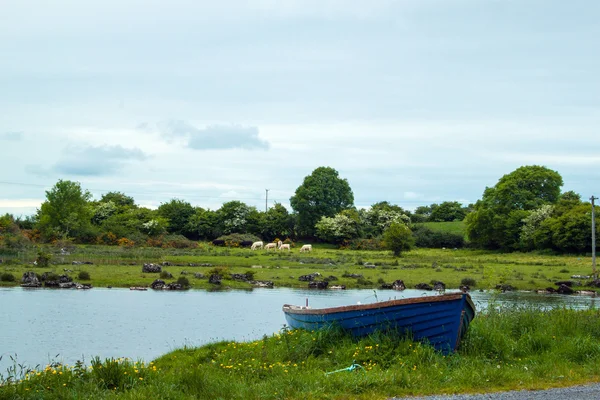 Loďku, Lough Corrib — Stock fotografie