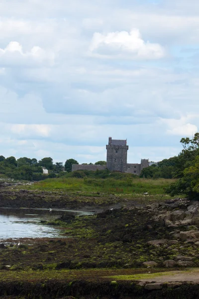 DunGuaire Castle — Stock Photo, Image