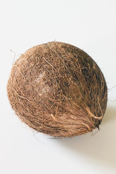 Coconut — Stock Photo, Image