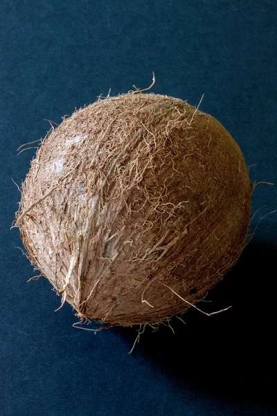 Coconut — Stock Photo, Image