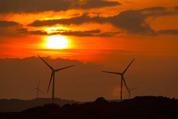 Windkraftanlagen bei Sonnenuntergang — Stockfoto