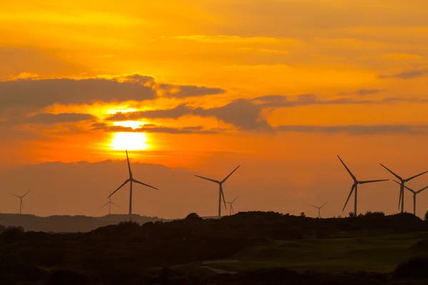 Windkraftanlagen bei Sonnenuntergang — Stockfoto