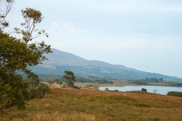 Lough Corrib - północ — Zdjęcie stockowe