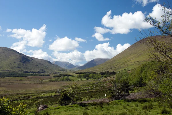 Dolina w Connemara — Zdjęcie stockowe