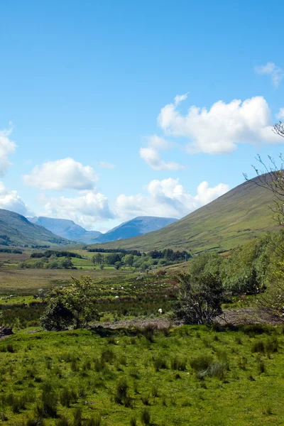 Údolí v regionu Connemara — Stock fotografie