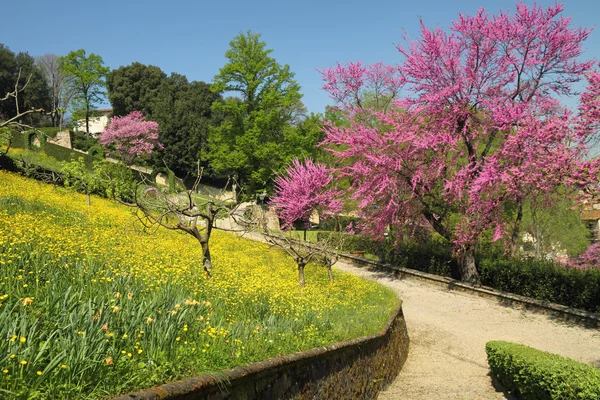 Fantástico jardim de floração na primavera Fotos De Bancos De Imagens