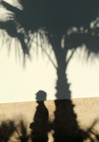 Sziluettjét turisztikai és palm tree — Stock Fotó