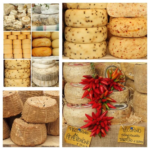 Mängd italienska ost på jordbrukarna marknaden — Stockfoto