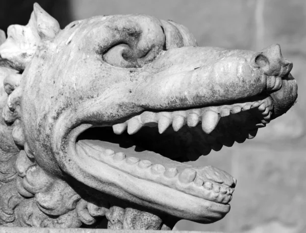 Mastiff dog - detail of statue — Stock Photo, Image