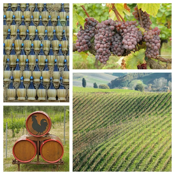 Chianti víno koláž — Stock fotografie