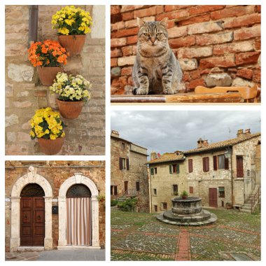 Tuscan Köyü kolaj