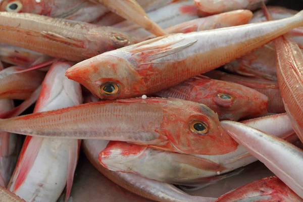 Peixe fresco no mercado mediterrânico — Fotografia de Stock