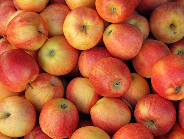 Manzanas frescas como fondo — Foto de Stock