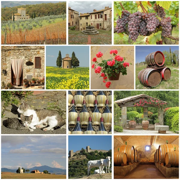 Maravilhosa Toscana - colagem — Fotografia de Stock