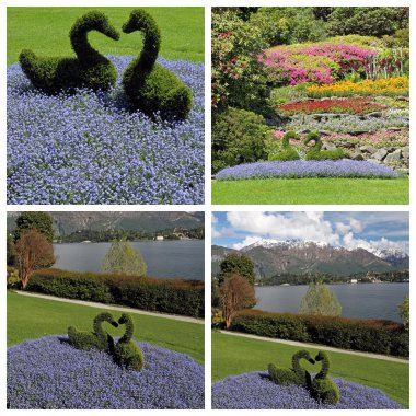 Yeşil şekilli kuğular ile kompozisyon