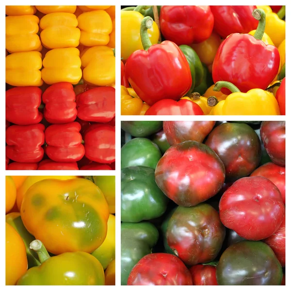 Pimentos de sino coloridos — Fotografia de Stock