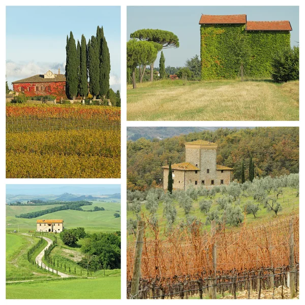 Beautiful tuscan countryside — Stock Photo, Image