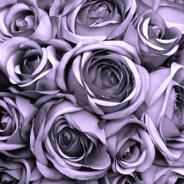 Roses pattern background — Stock Photo, Image