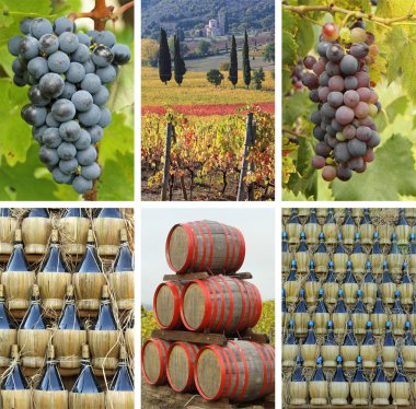 Toskana şaraphane kolaj