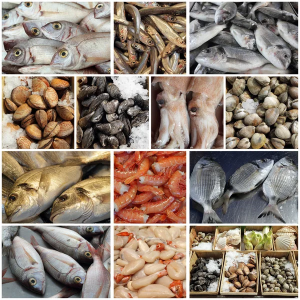 Collage de mariscos del mercado — Foto de Stock