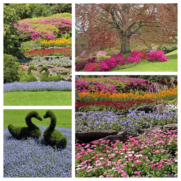 Romantik, renkli çiçekli Bahçe — Stok fotoğraf