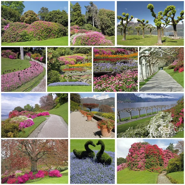 Romantic, colorful flowering garden — Stock Photo, Image