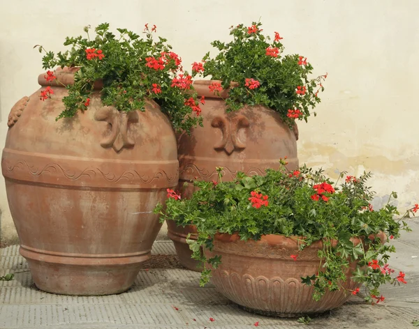 Plantadores de terracota da Toscana — Fotografia de Stock