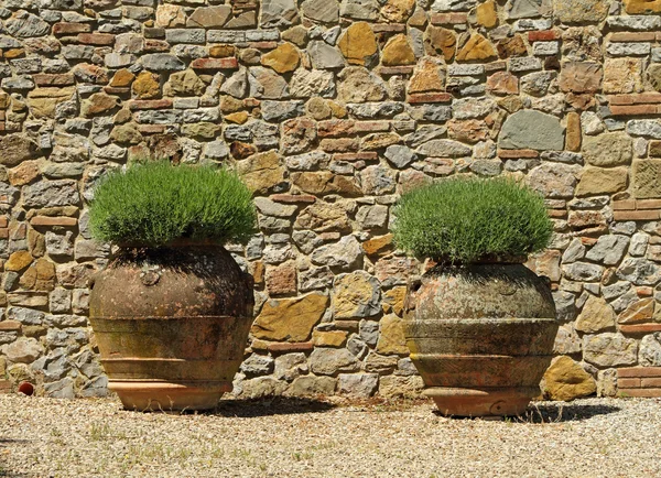 Classic tuscan pots — Stock Photo, Image