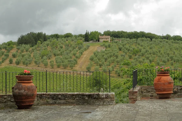 Terrazzo toscano e terreni agricoli collinari — Foto Stock