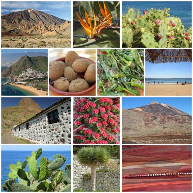 Group of images from Tenerife clipart