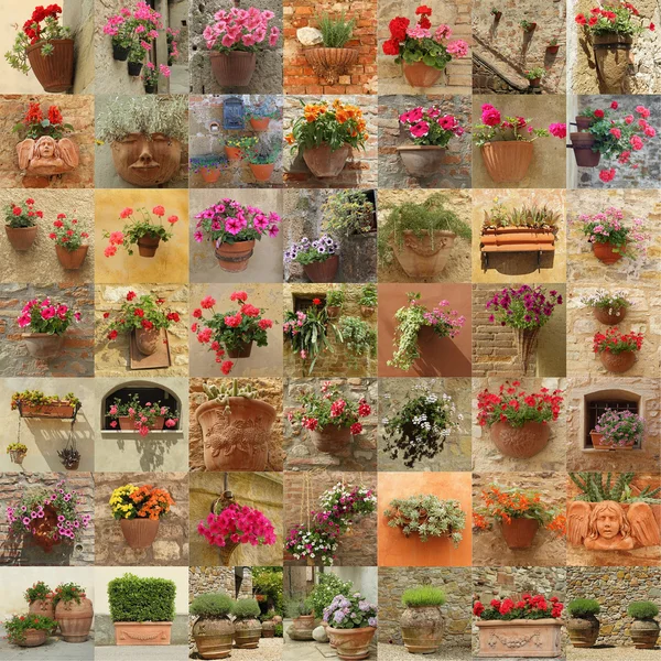 Blumentöpfe aus italienischen Gärten Stockfoto