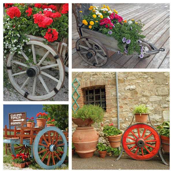Flowering plants in planters