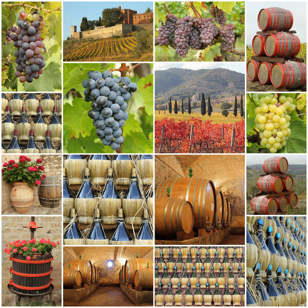 Wine tradition in Tuscany
