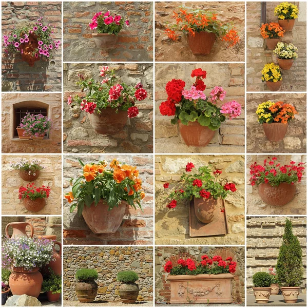 Groupe d'images avec pots de fleurs — Photo