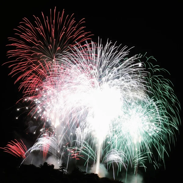 Feux d'artifice aux couleurs de l'Italie — Photo