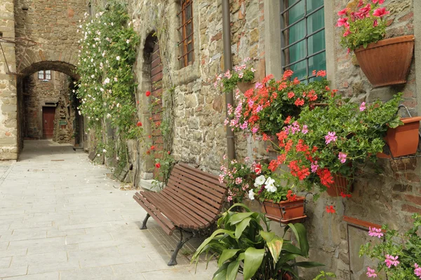 Blommor utanför toskanska hus — Stockfoto