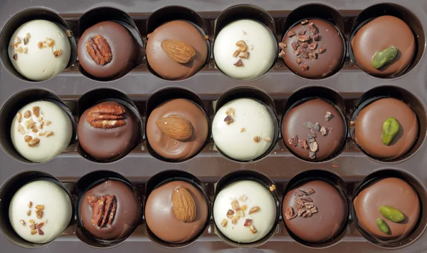 Pralines au chocolat belges — Photo