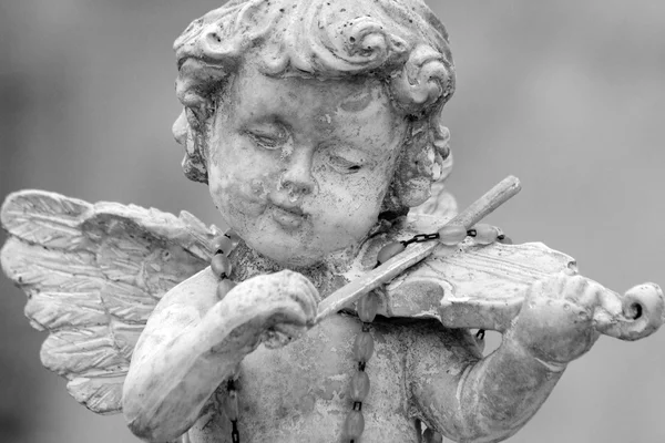 Engel spelen viool — Stockfoto
