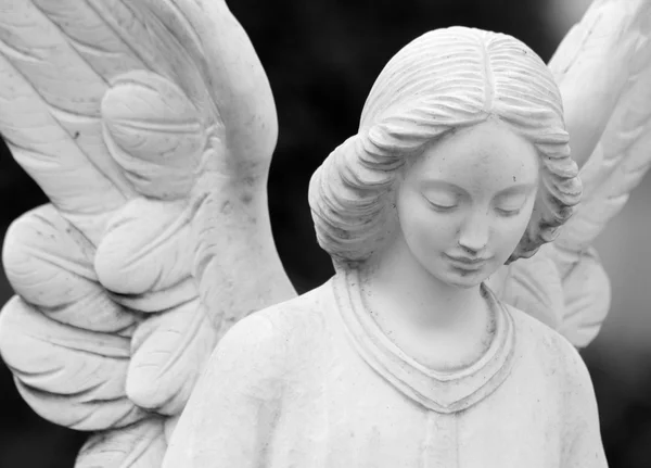Cemetery angel statue — Stock Photo, Image