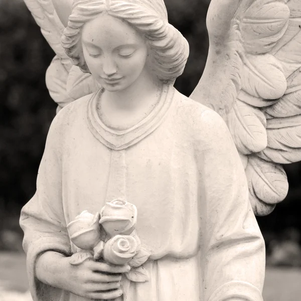 Cemetery angel statue Royalty Free Stock Images