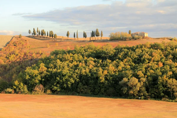 Sunset in in wonderful Tuscan countryside — Stock Photo, Image