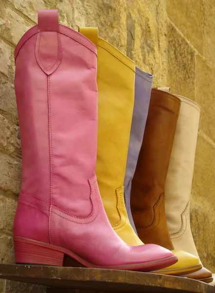 Colorful fine leather boots — Stock Photo, Image