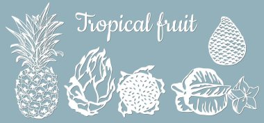 Kağıt ananas, pitahaya, Carambola, Salak. Tropikal meyveler izole. Yiyecek sembolü, tatlı, egzotik, yaz, vitamin sağlıklı doğa işaretleri ve lazer kesimi.