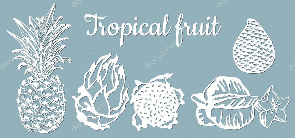Paper pineapple, pitahaya, Carambola, Salak. Tropical fruit isolated. Symbol of food, sweet, exotic, summer, vitamin healthy Nature sign plotter and screen printing Laser cut