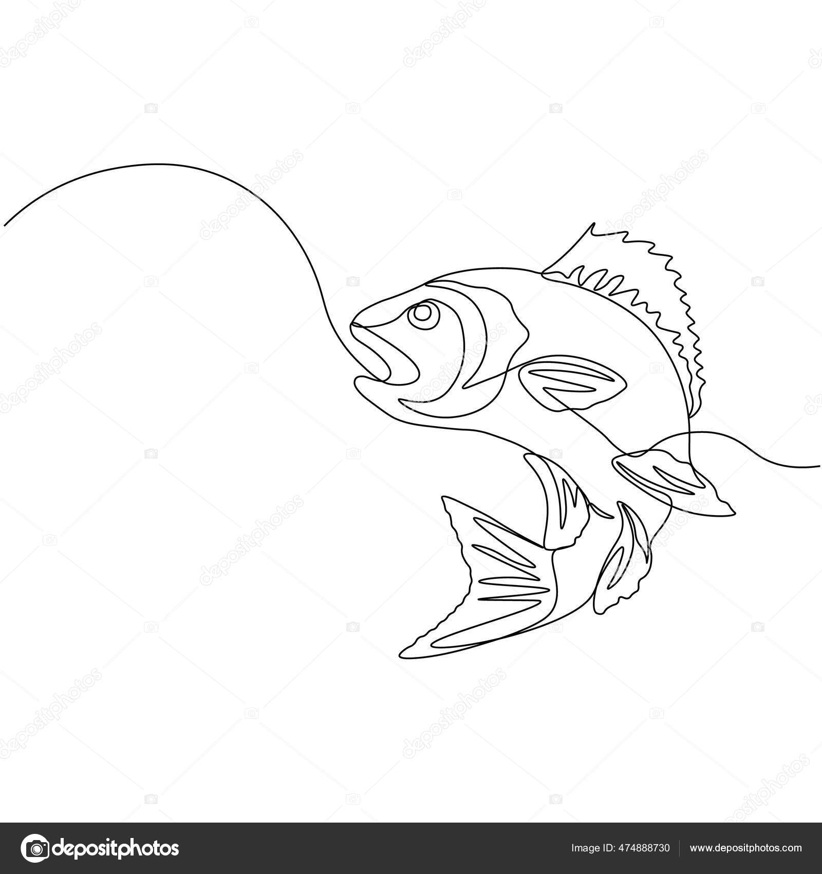 Poleiro Uma Linha Silhueta Design Peixe Design Logotipo Ilustração Vetor  Vetor de ©ZhAnStudio 474888730, image size:1600x1700
