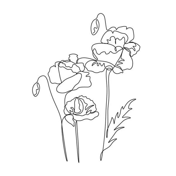 Amapola Dibujo Una Línea Flor Línea Continua Ilustración Dibujada Mano — Vector de stock