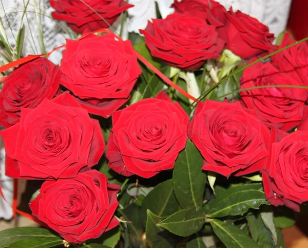 Velká kytice rudých růží — Stock fotografie
