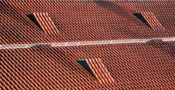 On the red roof — Stock Photo, Image