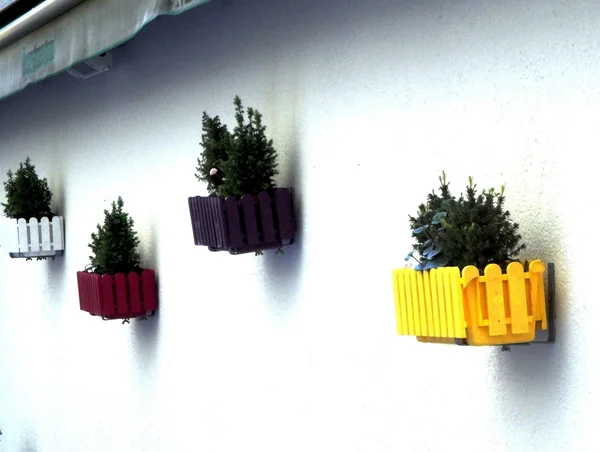 Flower boxes on a white wall — Stock Photo, Image