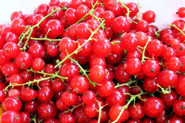 Many delicious red currants — Stock Photo, Image